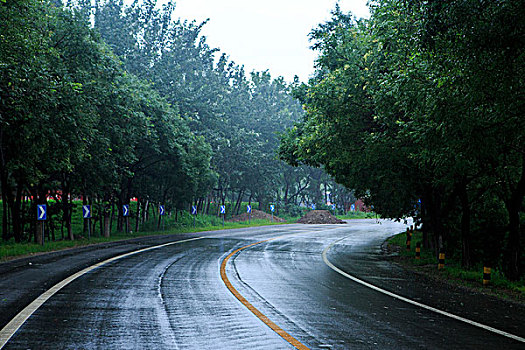 北京永定河左堤路,雨后路面