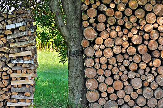 一堆,圆木,木柴,上巴伐利亚,巴伐利亚,德国,欧洲