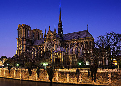 夜景,巴黎,大教堂,法国,欧洲