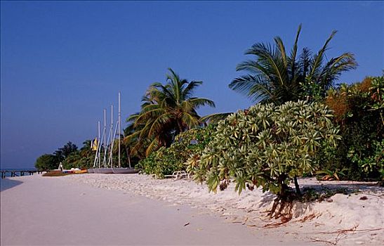 马尔代夫,岛屿,海滩