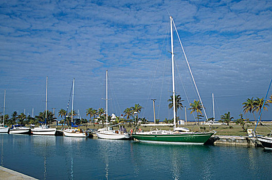 游艇,码头,古巴