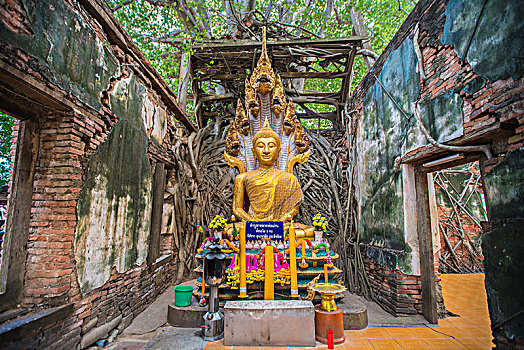 泰国寺庙大佛