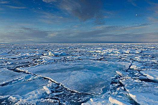 浮冰,北冰洋
