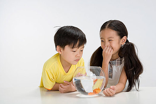 趴在桌上看魚的兒童