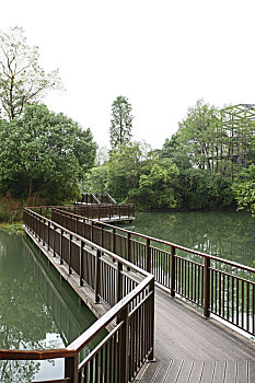 杭州西溪湿地景观水中木栈道长廊
