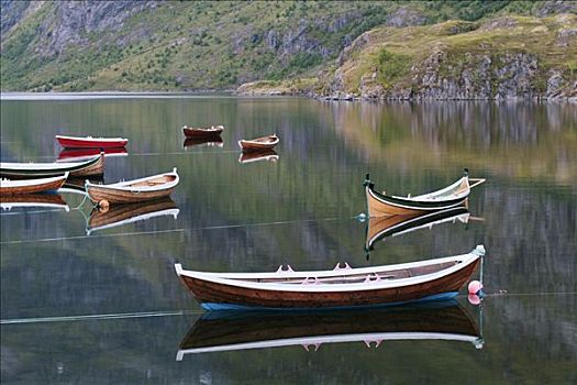 海洋,镜子,罗弗敦群岛,挪威