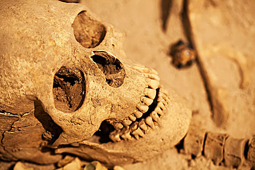 头骨,考古博物馆,马其顿,希腊