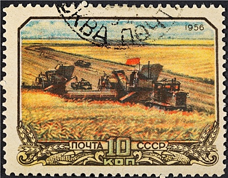 收获,小麦,苏联,俄罗斯