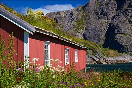 挪威,捕鱼,小屋