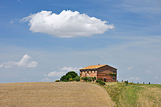 托斯卡纳农村,随着,农舍,夏天,圣奎利克道尔恰,锡耶纳省,托斯卡纳,意大利