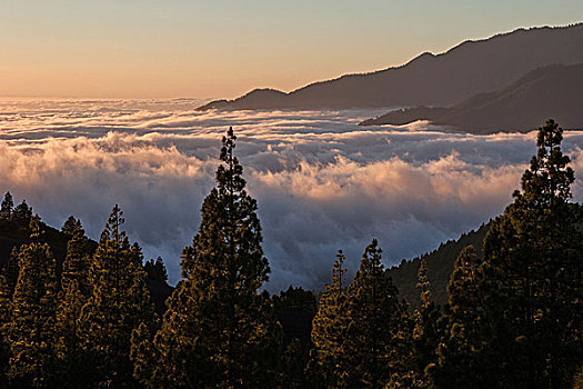 風景,雲,高處,後面,右邊,火山口,夜光,帕爾瑪,加納利群島,西班牙,歐洲