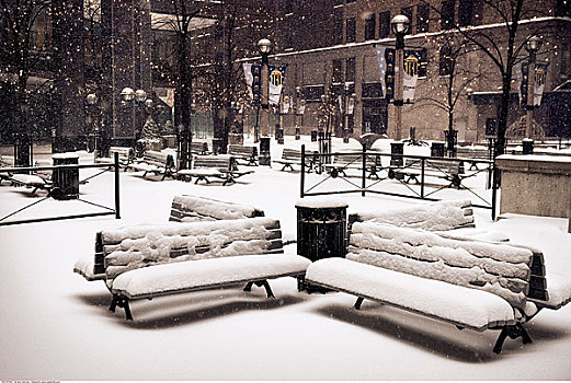 积雪,长椅,多伦多,安大略省,加拿大