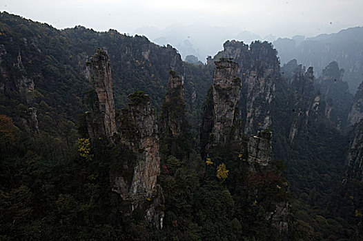 湖南张家界天子山国家森林公园