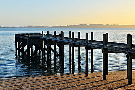 木码头,早晨,奥克兰,北岛,新西兰