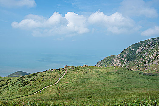 大嵛山岛,高山草甸