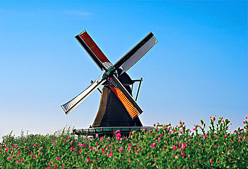 荷兰,北荷兰,风车