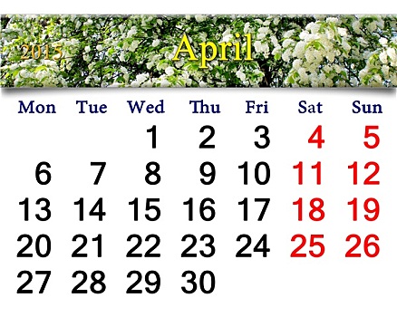 日程,五月,图像,鸟,樱桃树
