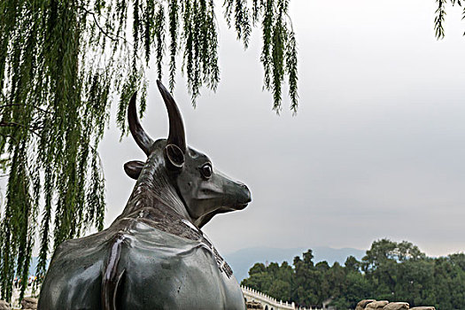 颐和园铜牛