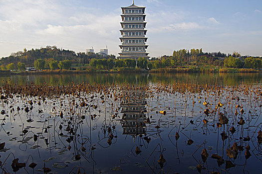 西安世博园地标建筑和景观