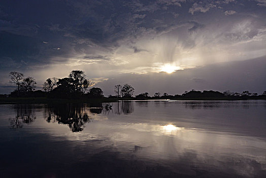 晚间,局部,亚马逊河,可持续发展,靠近,马瑙斯,亚马逊,巴西,南美