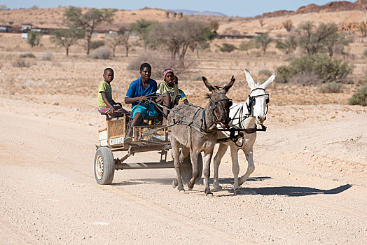 孩子,驴,手推车,纳米比亚,非洲