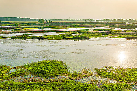 河流和生态湿地