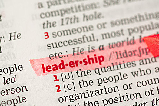 领导,定义,突显,红色,字典
