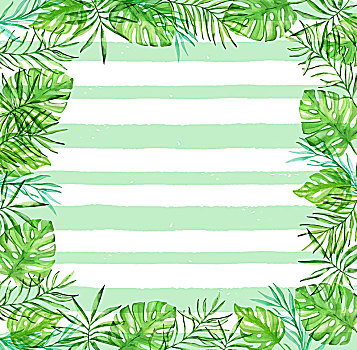 水彩,热带,花,棕榈叶,绿色,线条,白色背景,背景
