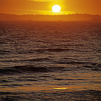 日落,上方,海洋,环太平洋国家公园,自然保护区,温哥华岛,不列颠哥伦比亚省,加拿大