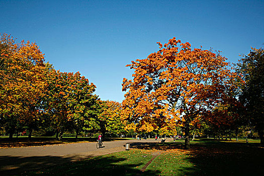秋色,肯辛顿花园,伦敦,英国