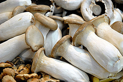 蘑菇,博罗市场,南华克