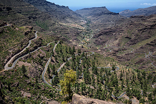 风景,蜿蜒,道路,后面,大卡纳利岛,加纳利群岛,西班牙,欧洲