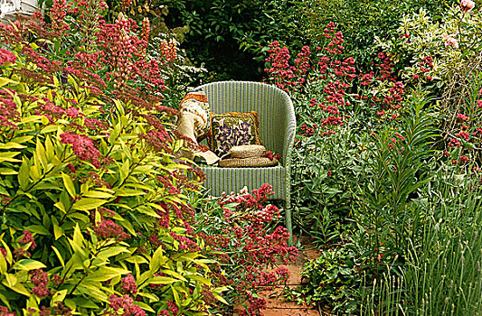 花园,特写,柳条椅,花,灌木