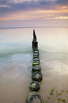木质,柱子,波罗的海,乌瑟多姆岛,梅克伦堡前波莫瑞州,德国