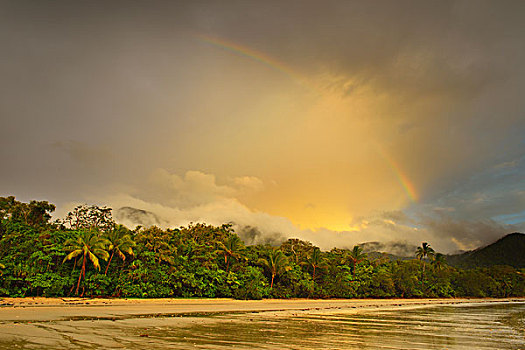 彩虹,雨,早晨,雨林,岬角,困苦,昆士兰,澳大利亚