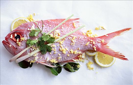 红鲷鱼,遮盖,亚洲,调味品