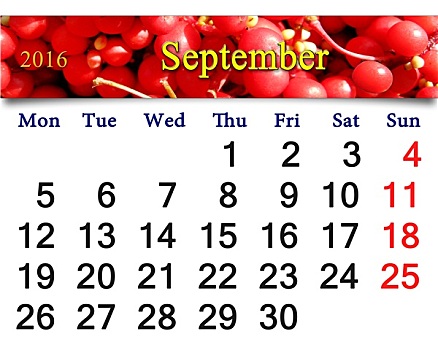 日程,九月,枝条,红色,成熟