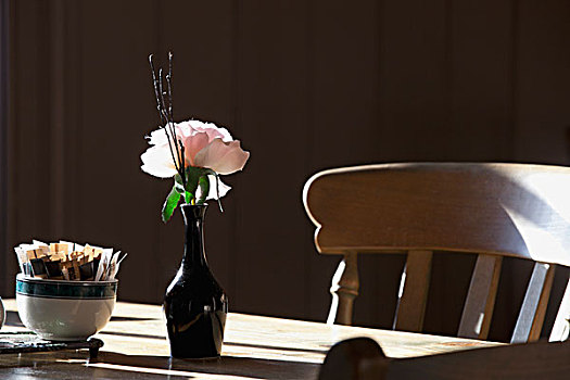 坐,小,花瓶,餐厅桌子,诺森伯兰郡,英格兰