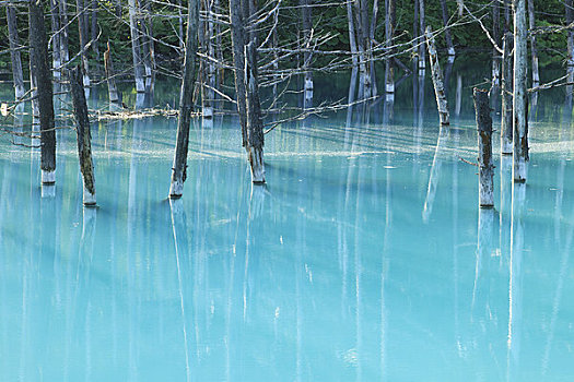 蓝色,水塘