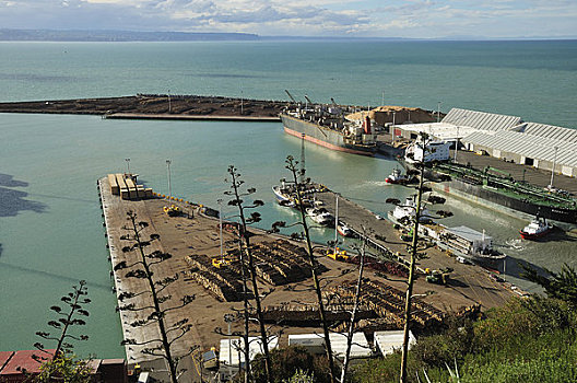 港口,纳皮尔,霍克斯湾,北岛,新西兰