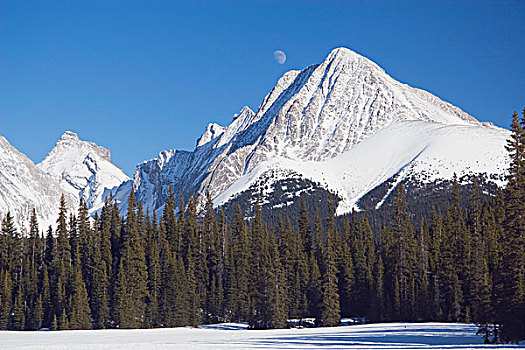 雪山,卡纳纳斯基斯县,艾伯塔省,加拿大