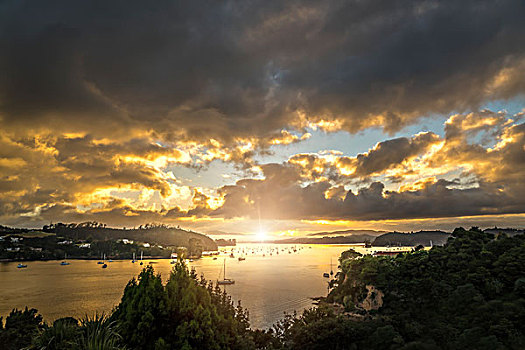 日落,上方,湾,新西兰