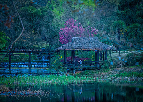 杭州乌龟潭景区