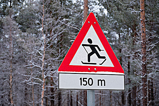 路标,滑雪,挪威,欧洲