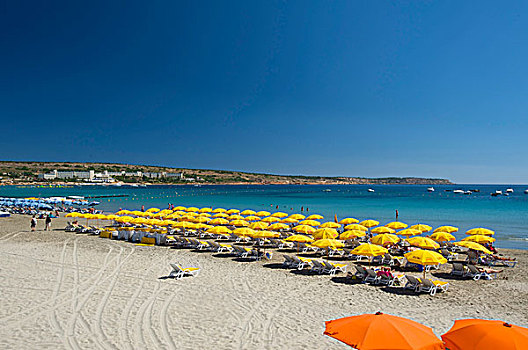 海滩,马耳他,欧洲