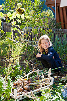小女孩,收获,洋葱,花园,山谷,南蒂罗尔,意大利,欧洲