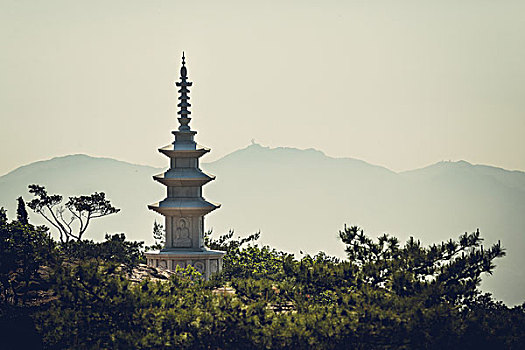 佛像,户外,首尔,韩国