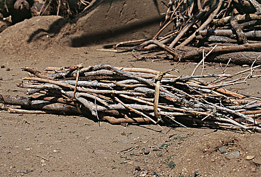 坦桑尼亚,一些,木柴,大幅,尺寸