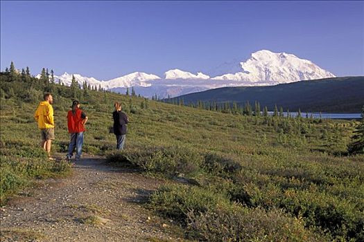游客,风景,山,麦金利山,德纳里峰国家公园,阿拉斯加