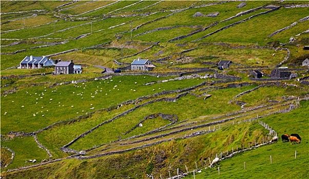 乡村风光,丁格尔半岛